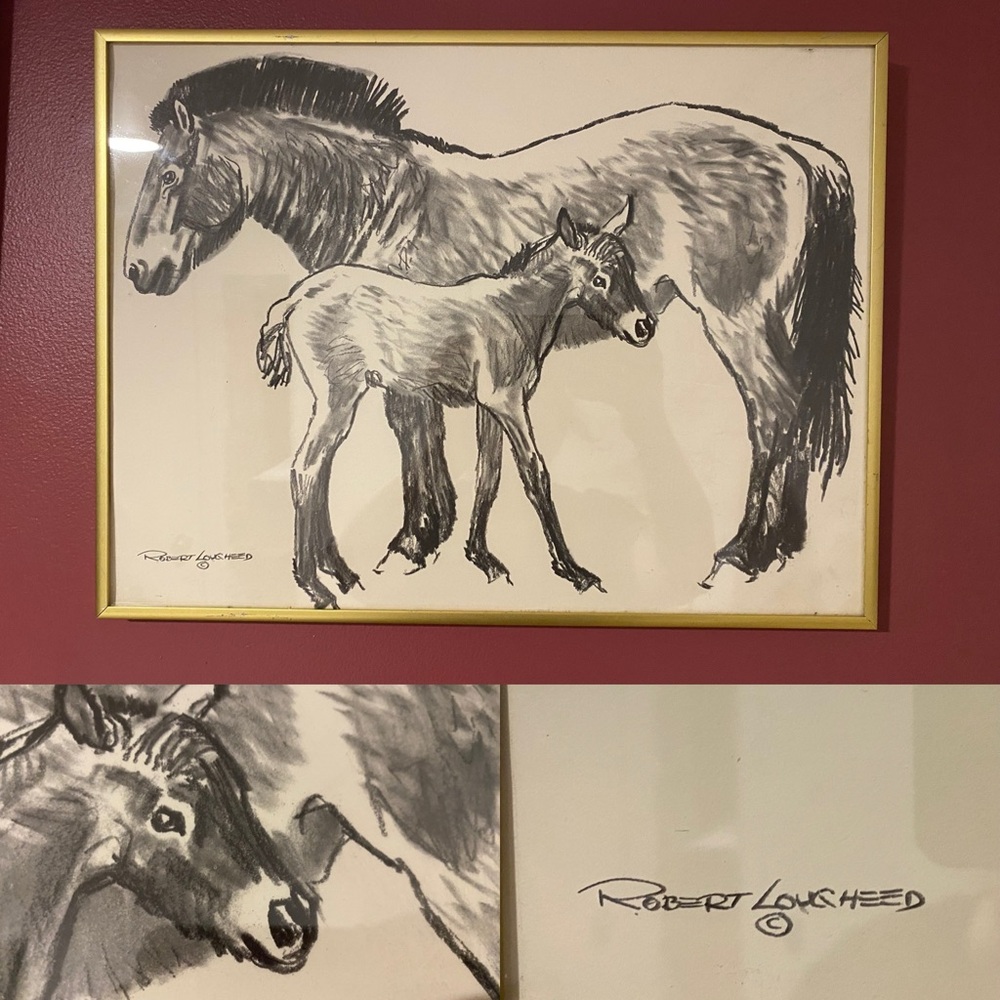 Robert Lougheed Horse and Foal Reproduction
